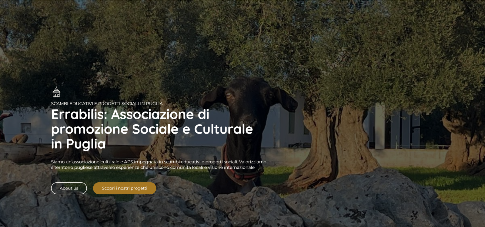 Anteprima del sito Errabilis